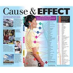 Cause & Effect Poster