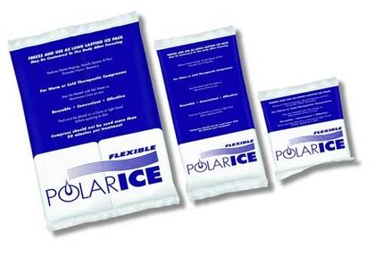 Polar Ice Pack Regular 6
